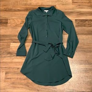 Naked Zebra shirt dress